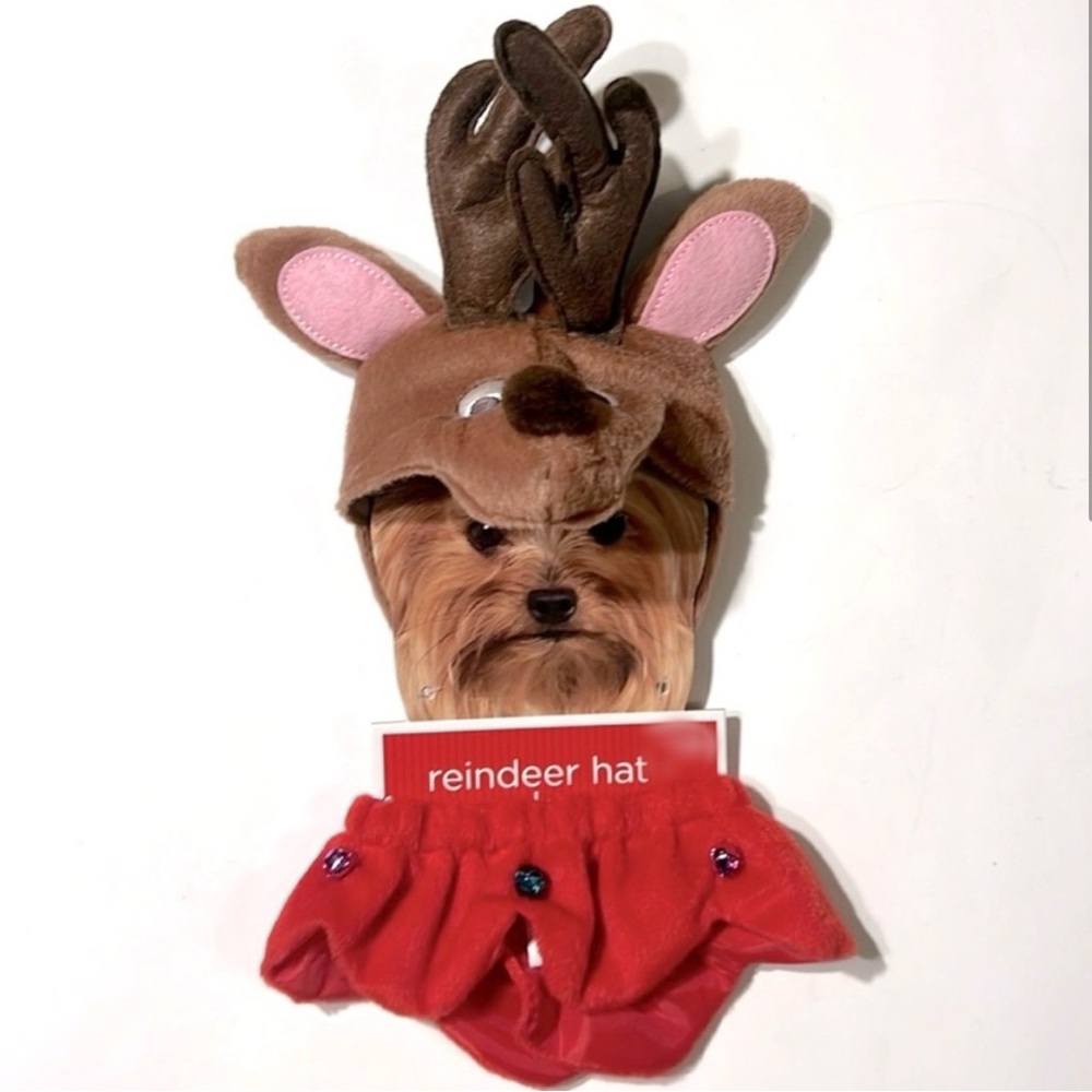 NWT XS/S Reindeer Hat & Bell Collar Set, From Target
